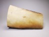 Mammoth ivory - Alaska, USA