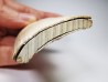 Mammoth ivory - Alaska, USA