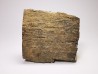 Mammoth ivory - Alaska, USA