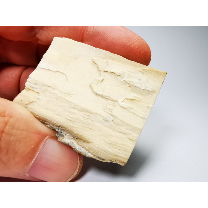 Mammoth ivory - Alaska, USA