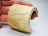 Mammoth ivory - Alaska, USA