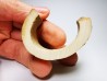 Mammoth ivory - Alaska, USA