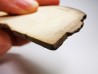 Mammoth ivory - Alaska, USA