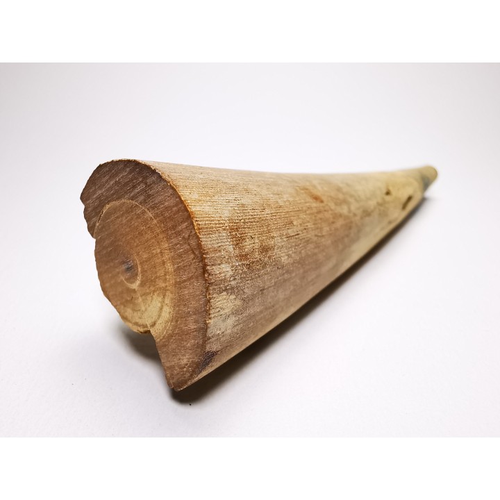 Mammoth ivory - Alaska, USA