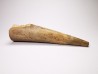 Mammoth ivory - Alaska, USA