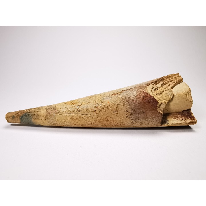 Mammoth ivory - Alaska, USA