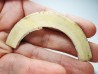 Mammoth ivory - Alaska, USA