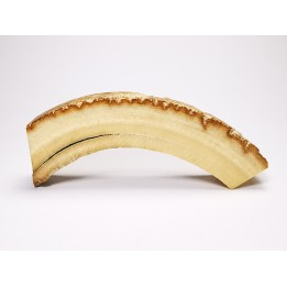 Mammoth ivory - Alaska, USA