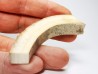 Mammoth ivory - Alaska, USA