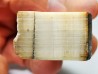 Mammoth ivory - Alaska, USA