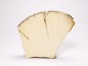 Mammoth ivory - Alaska, USA
