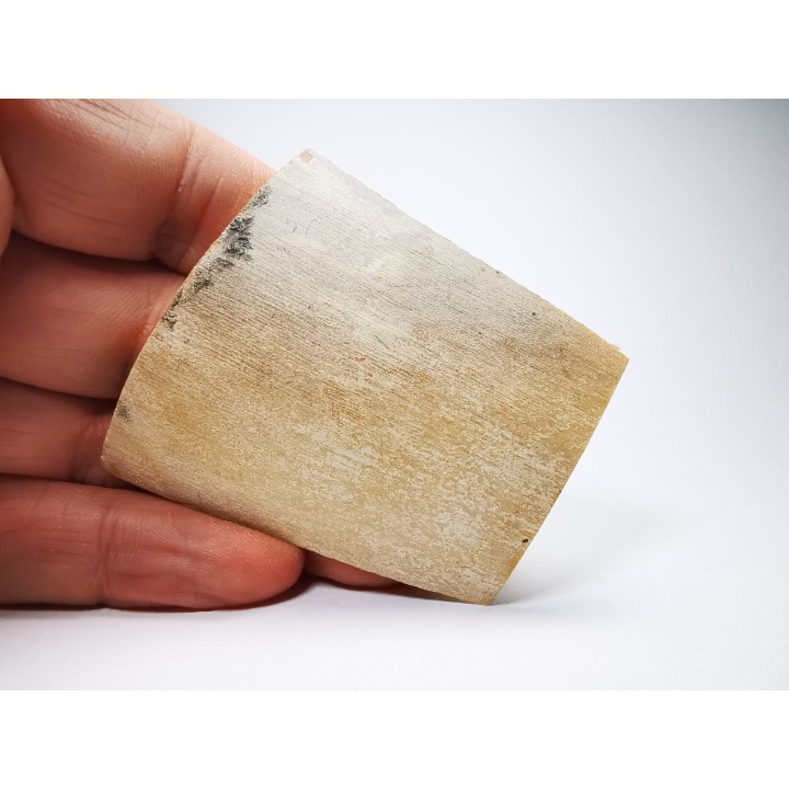 Mammoth ivory - Alaska, USA