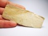 Mammoth ivory - Alaska, USA