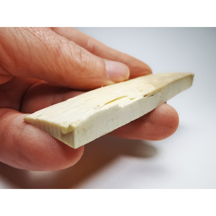 Mammoth ivory - Alaska, USA
