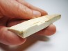 Mammoth ivory - Alaska, USA