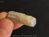 fossile opalisé: BÉLEMNITE sp. (2)