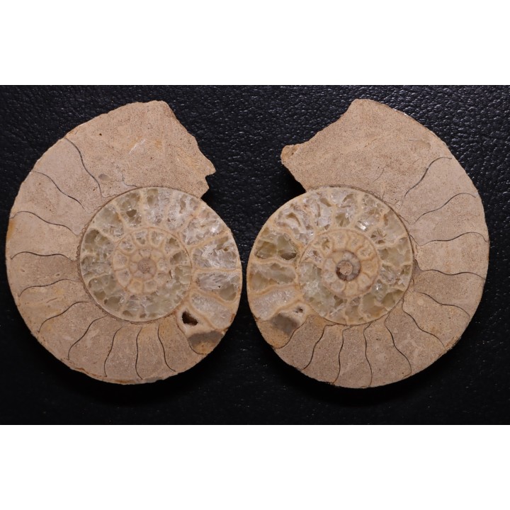 belle ammonite sciée recto/verso avec loges en quartz  jurassique  Normandie - FRANCE