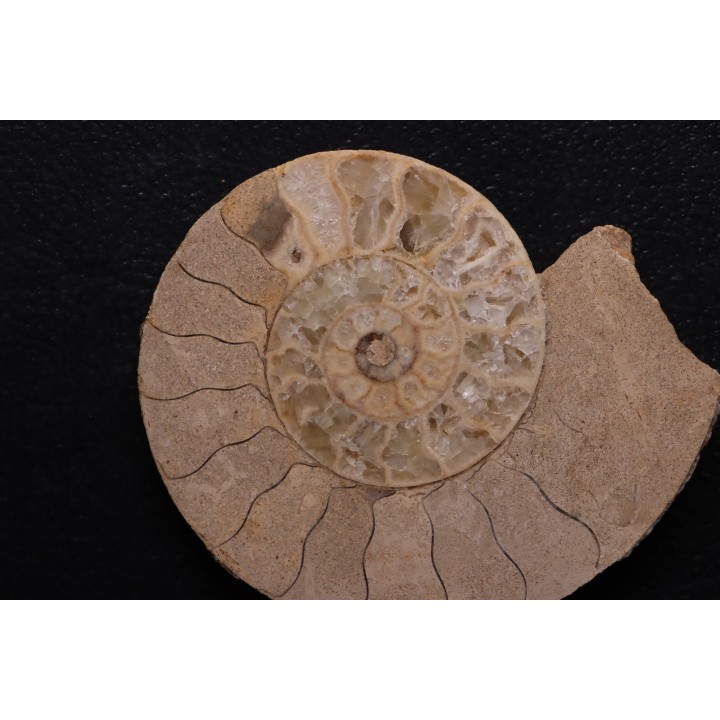 belle ammonite sciée recto/verso avec loges en quartz  jurassique  Normandie - FRANCE