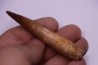 dinosaur TOOTH - SPINOSAURUS AEGYPTIACUS