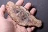 coprolithe de dinosaure - jurassique - Morrison Formation