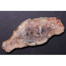 dinosaur coprolithe - jurassic - Morrison Formation