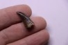 Daspletosaurus torosus - Judith River Formation - crétacé supérieur - Musselshell County - Montana - USA