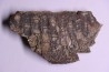 dinosaur part jaw with tooth: edmontosaurus annectens - Hell Creek  Formation - lower cretaceous - Dawson County, Montana