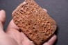 CROCODILE DERMAL PLATE: Elosuchus cherifiensis (Lavocat, 1955) - Cenomanian - Kem Kem , begaa, Taouz area, MOROCCO