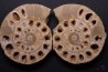belle ammonite sciée recto/verso avec loges en quartz jurassique Normandie - FRANCE