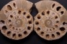 belle ammonite sciée recto/verso avec loges en quartz jurassique Normandie - FRANCE