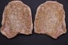 accumulation de bivalves à déterminer - Eotrias - Ambilobe, Madagascar