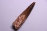dinosaur TOOTH - SPINOSAURUS AEGYPTIACUS