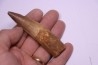 dinosaur TOOTH - SPINOSAURUS AEGYPTIACUS