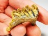 Neoceratodus africanus - CENOMANIAN - Kem Kem - Morocco