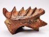 Neoceratodus africanus - CENOMANIAN - Kem Kem - Morocco