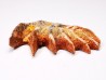 Neoceratodus africanus - CENOMANIEN - Kem Kem - MAROC