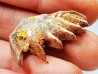 Neoceratodus africanus - CENOMANIAN - Kem Kem - Morocco