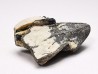 RHYNCHOLITE, Crétacé Inférieur, Alpes-de-Haute-Provence, France