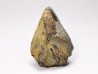 RHYNCHOLITE, Crétacé Inférieur, Alpes-de-Haute-Provence, France