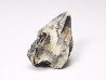 RHYNCHOLITE, Crétacé  Inférieur, Alpes-de-Haute-Provence, France