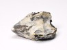 RHYNCHOLITE, Crétacé  Inférieur, Alpes-de-Haute-Provence, France