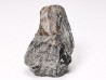 RHYNCHOLITE, Crétacé Inférieur, Alpes-de-Haute-Provence, France