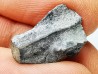 RHYNCHOLITE Early Cretaceous, Alpes-de-Haute-Provence, France