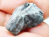 RHYNCHOLITE Early Cretaceous, Alpes-de-Haute-Provence, France