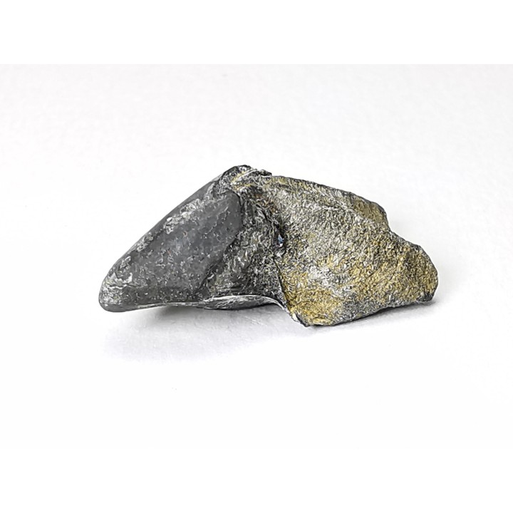 RHYNCHOLITE, Crétacé  Inférieur, Alpes-de-Haute-Provence, France