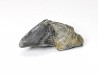 RHYNCHOLITE Early Cretaceous, Alpes-de-Haute-Provence, France
