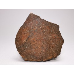 Météorite Chondrite ordinaire LL5, Sahara Occidental