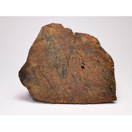 Météorite Chondrite ordinaire LL5, Sahara Occidental