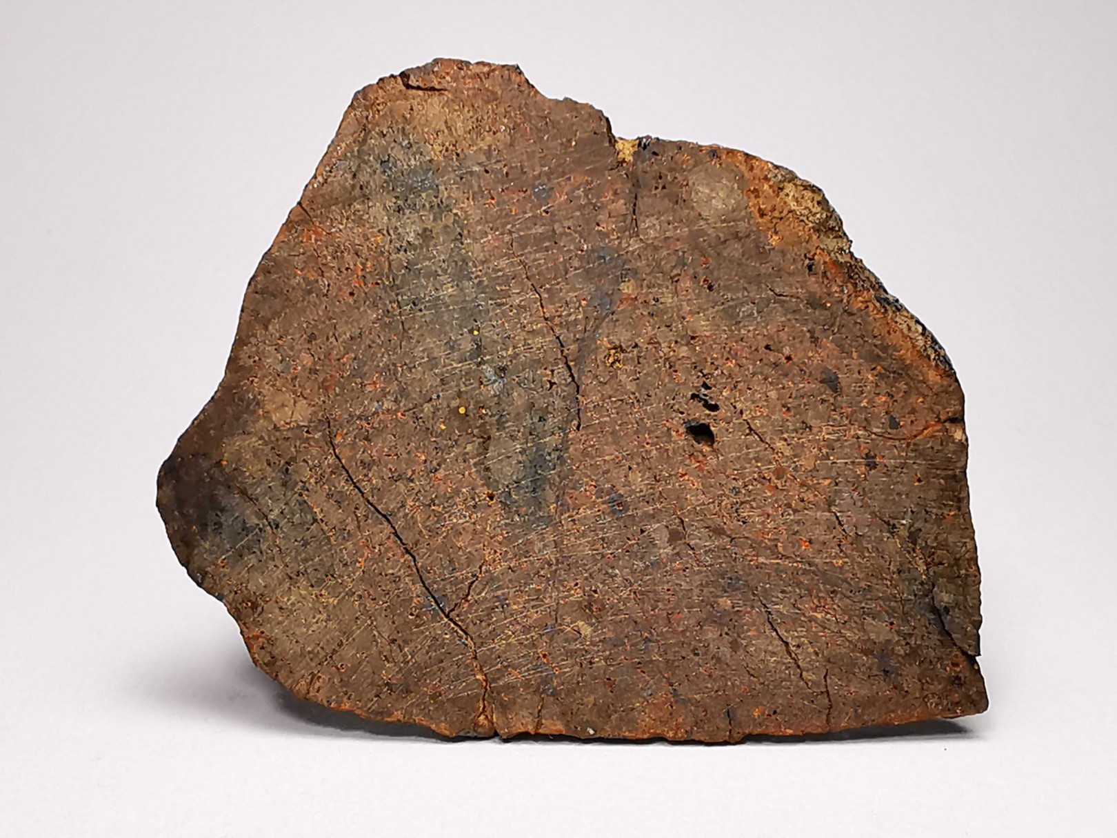 Meteorite Ordinary Chondrite LL5, Western Sahara