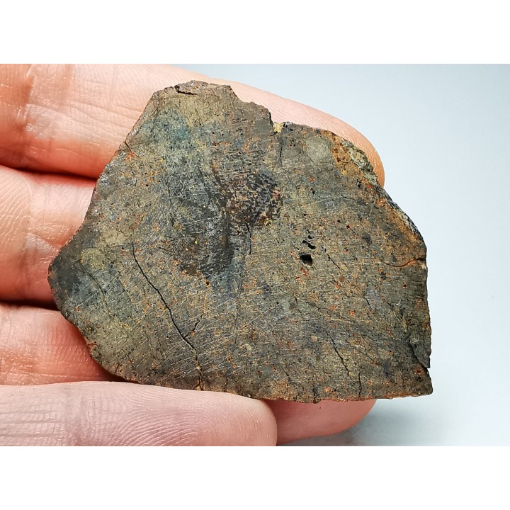 Meteorite Ordinary Chondrite LL5, Western Sahara